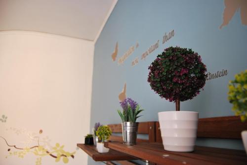 Bed & Breakfast Spaccanapoli Bros. Napels